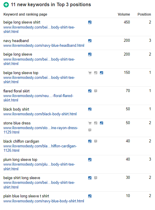 11-keywords-ranked-in-Top-3-Postion