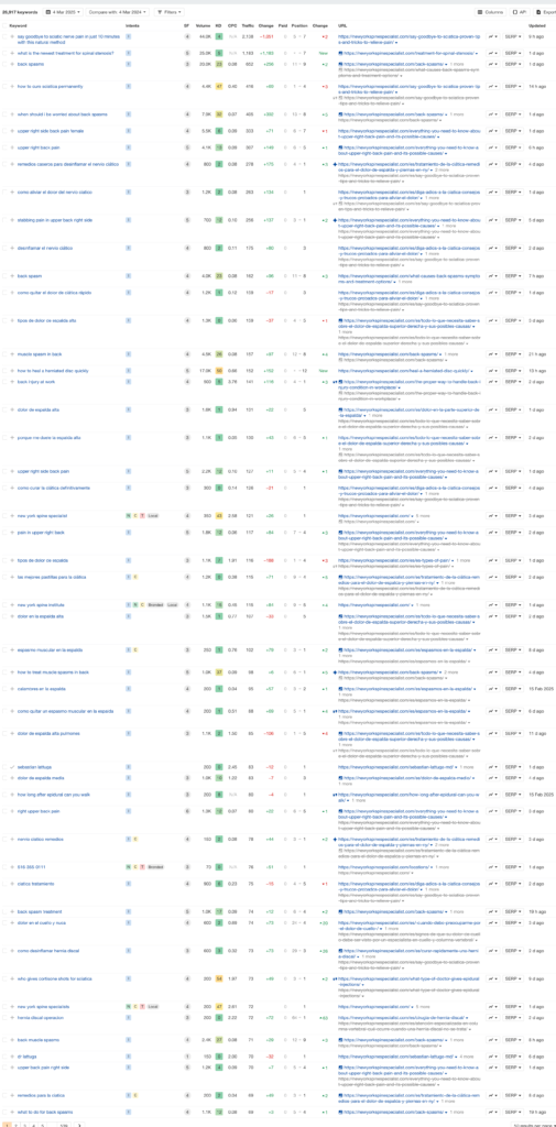 New York Spine Specialist Keyword Stats